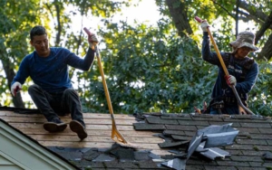 Two Seal roofing workers stripping shingles off roof
