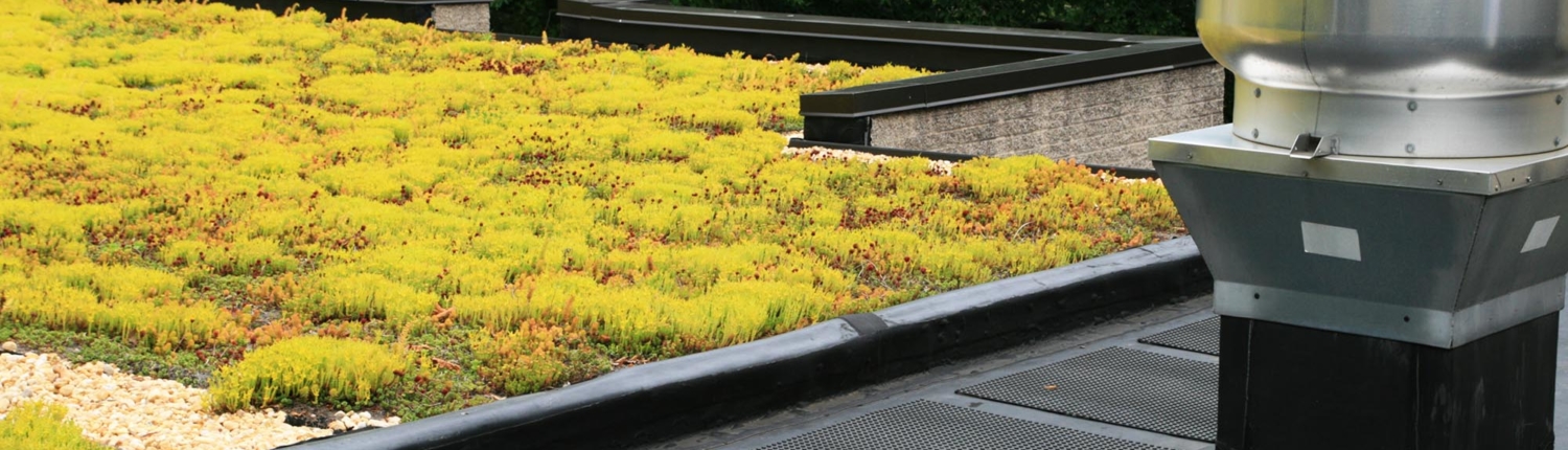 Side view of a roof top garden next to a chimney