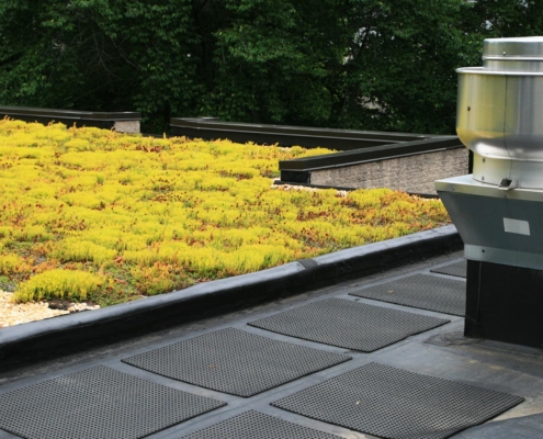 Side view of a roof top garden next to a chimney