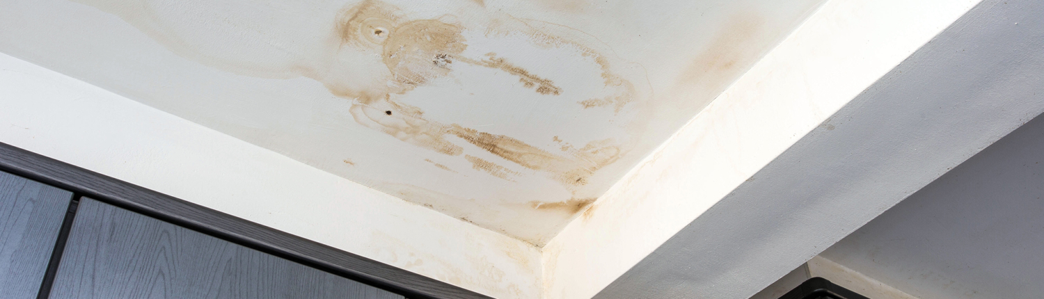 Upshot of brown water damage spots on ceiling