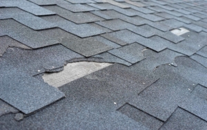 Asphalt shingle roof damage